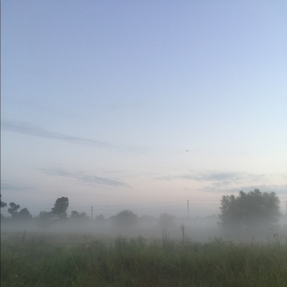 Meet your Posher, Teresa