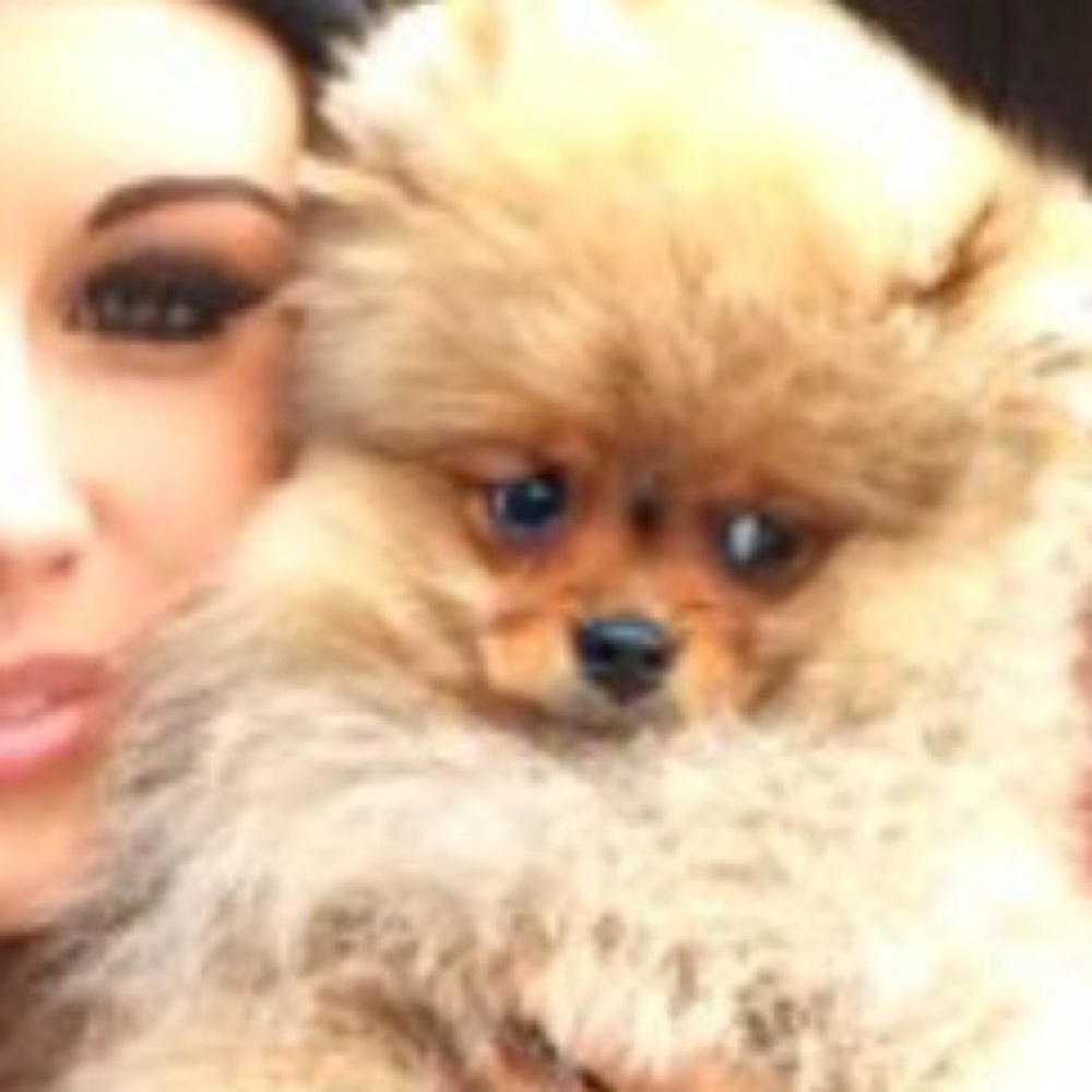 Meet your Posher, Lin