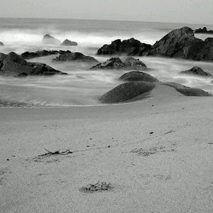 Meet your Posher, Gabby