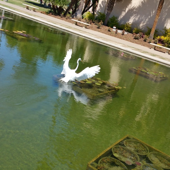 Meet your Posher, Francesca - Picture 3 of 5