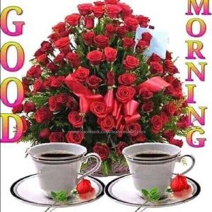 Meet your Posher, Zainab