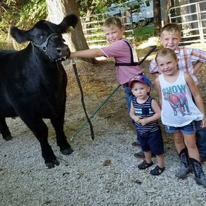 Meet your Posher, Peggy