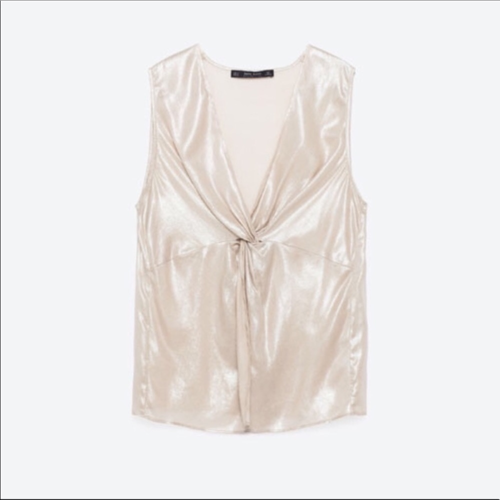Zara Metallic Top