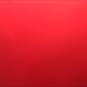 Meet your Posher, Tasha