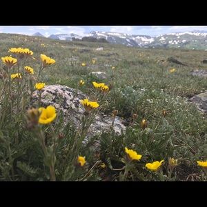 Meet your Posher, Alanna