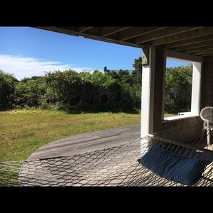 Meet your Posher, Annie