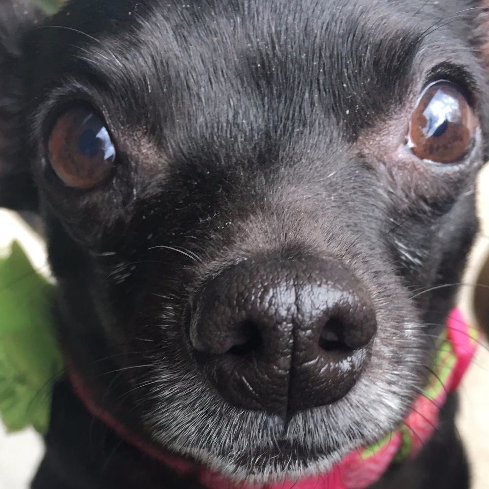 Meet your Posher, Lori