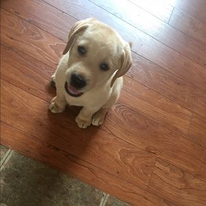 Meet your Posher, Alexandra