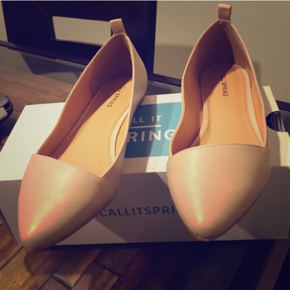 Nude Aldo Flats