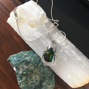 Beetle resin necklace sterling silver
