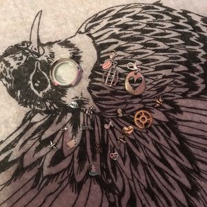 Origami Owl Pendant and Charm Bundle