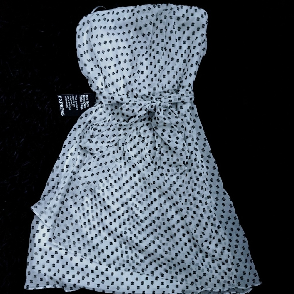 Express dress size 2