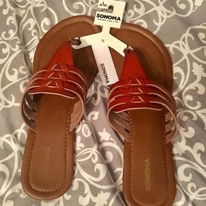 NEW! NWT Sonoma Sandals 💃🏼☀️