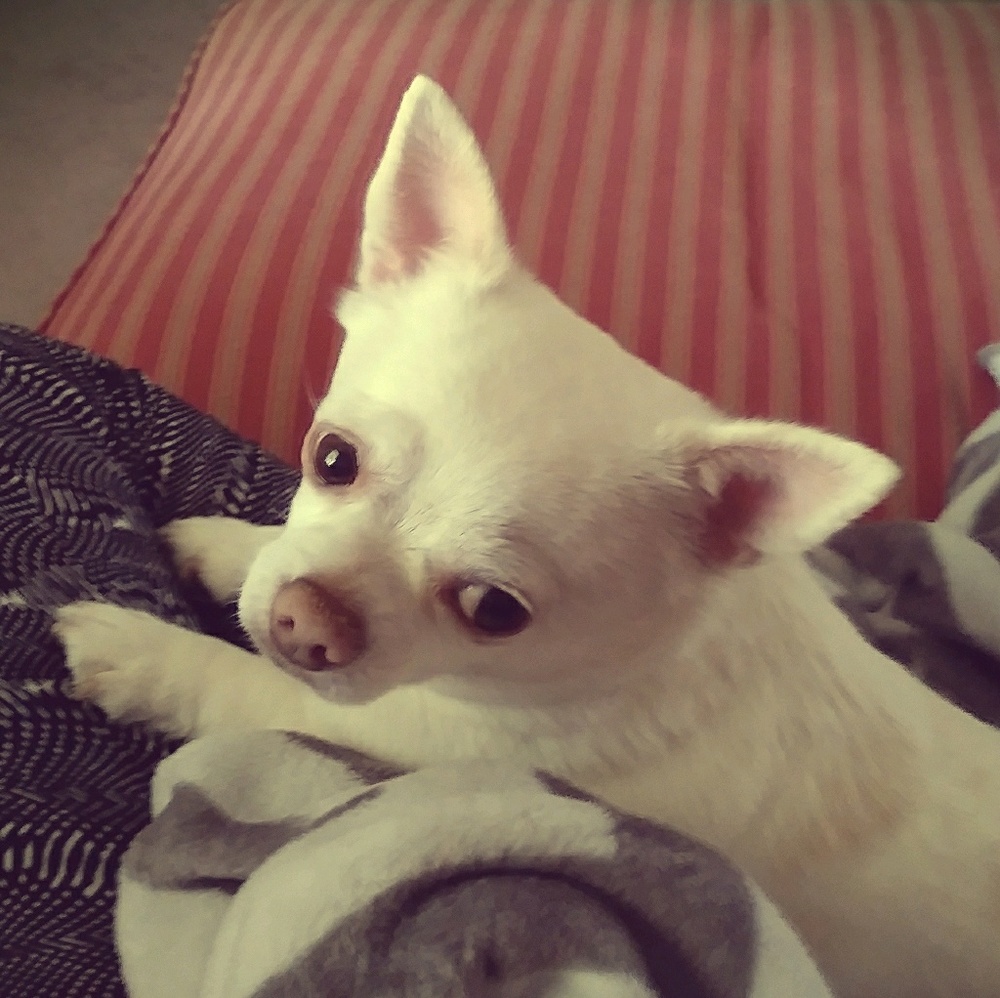 Meet your Posher, Erin