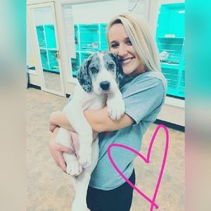 Meet your Posher, Erica