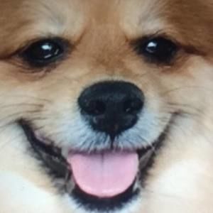 Meet your Posher, Justine