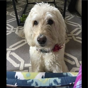 Meet your Posher, Toria