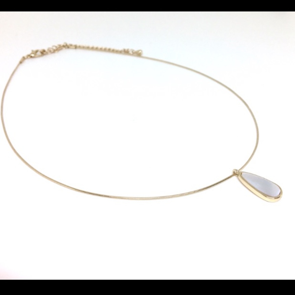 Seashell Necklace