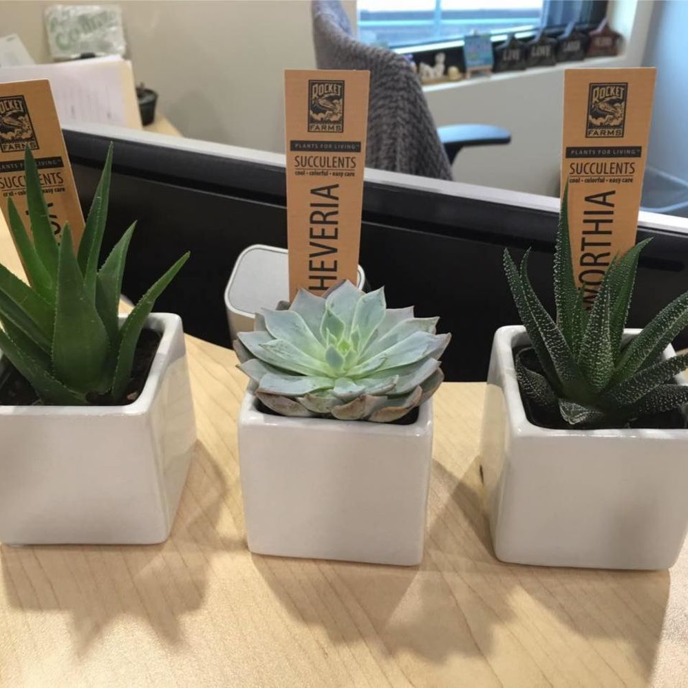 Meet your Posher, Jasmin