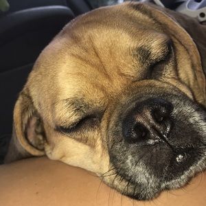 Meet your Posher, Faith