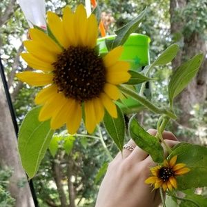 Meet your Posher, Kristin