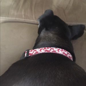 Meet your Posher, Carmen