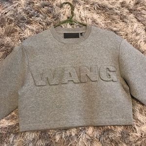 Alexander Wang x HM sweater