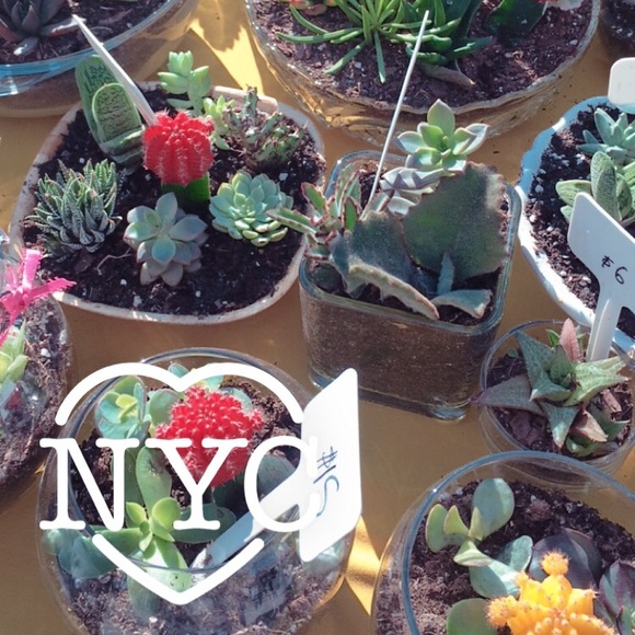 Meet your Posher, K P - Picture 4 of 5