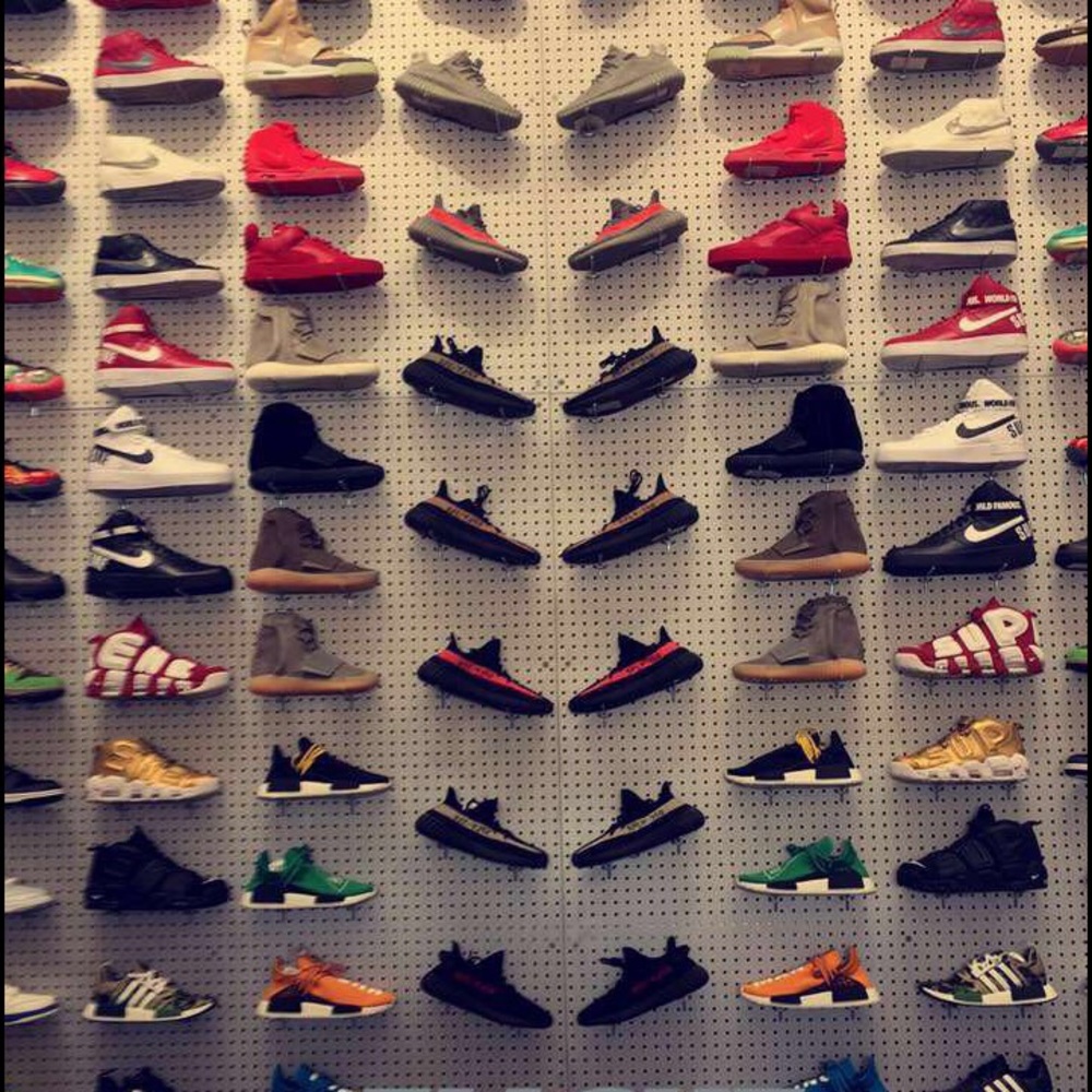 Meet your Posher, Jayden