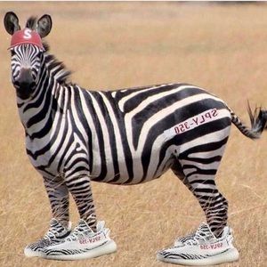 Meet your Posher, Ian