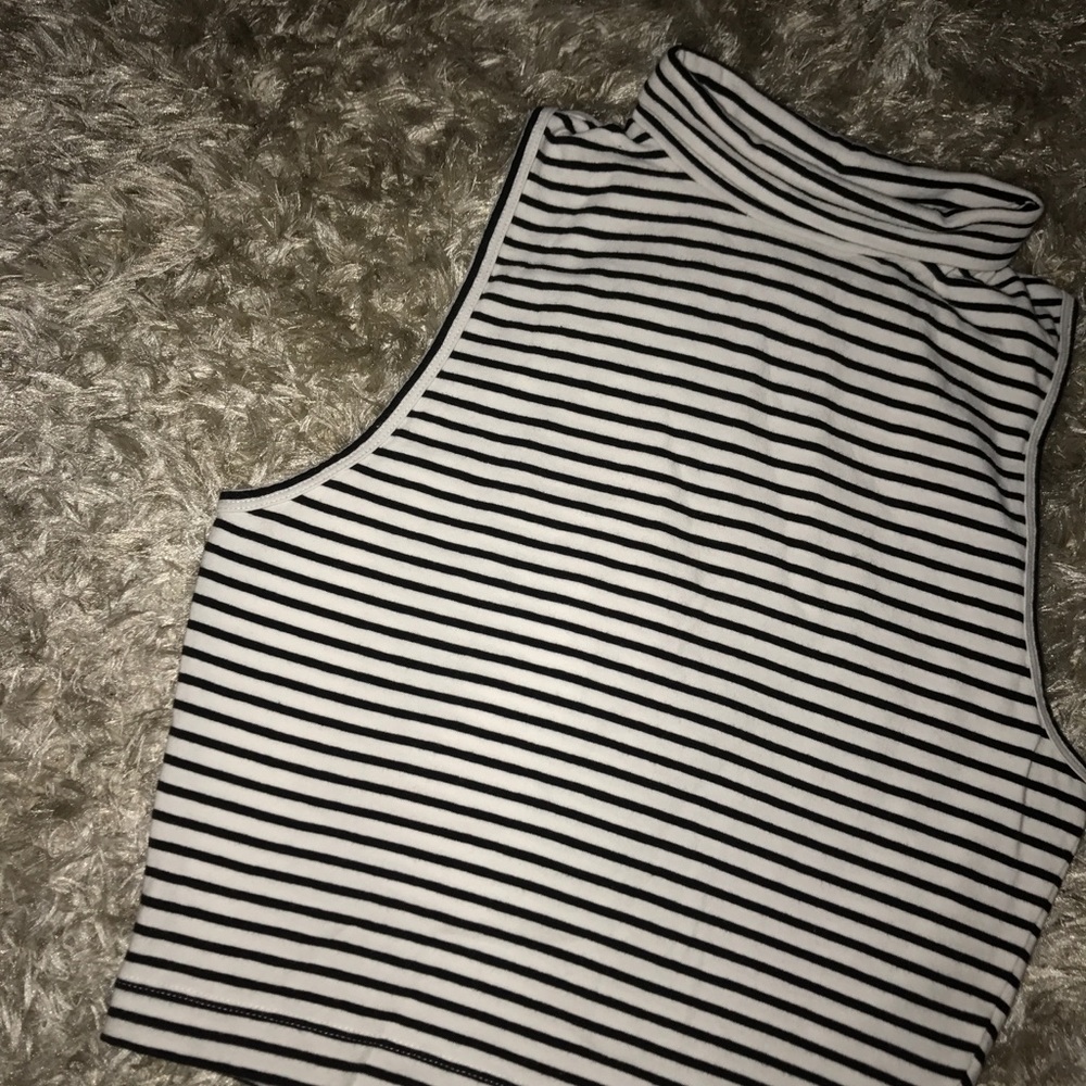 Express Striped Down Turtle Crop Top