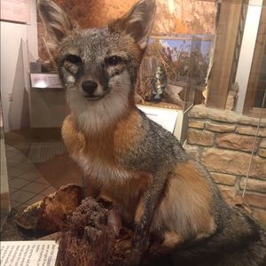 Meet your Posher, Isaiah