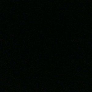 Meet your Posher, Shayla