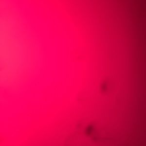 Meet your Posher, Marvin