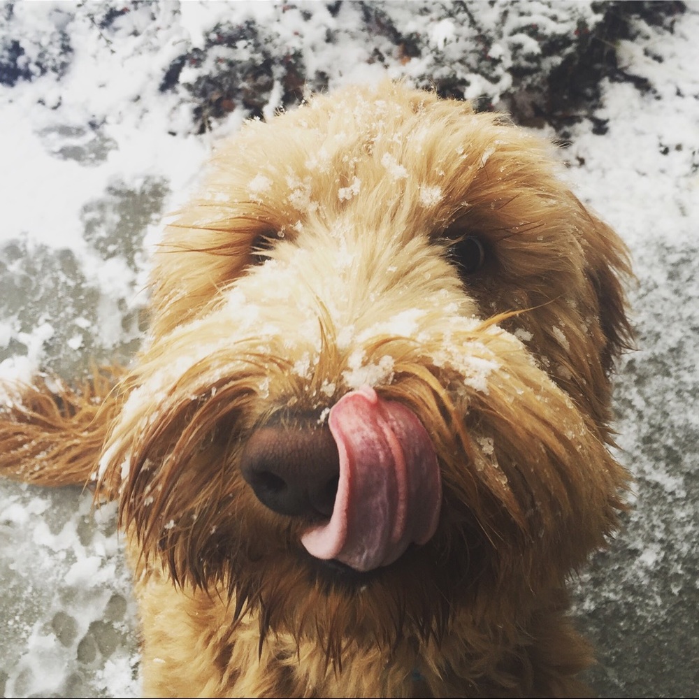 Meet your Posher, Heather