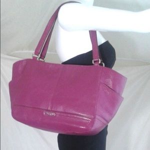 COACH Carrie Tote Handbag