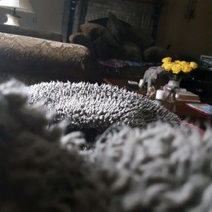 Meet your Posher, Lorie