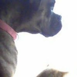 Meet your Posher, Anne