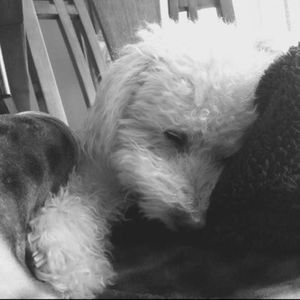 Meet your Posher, Kendallyn