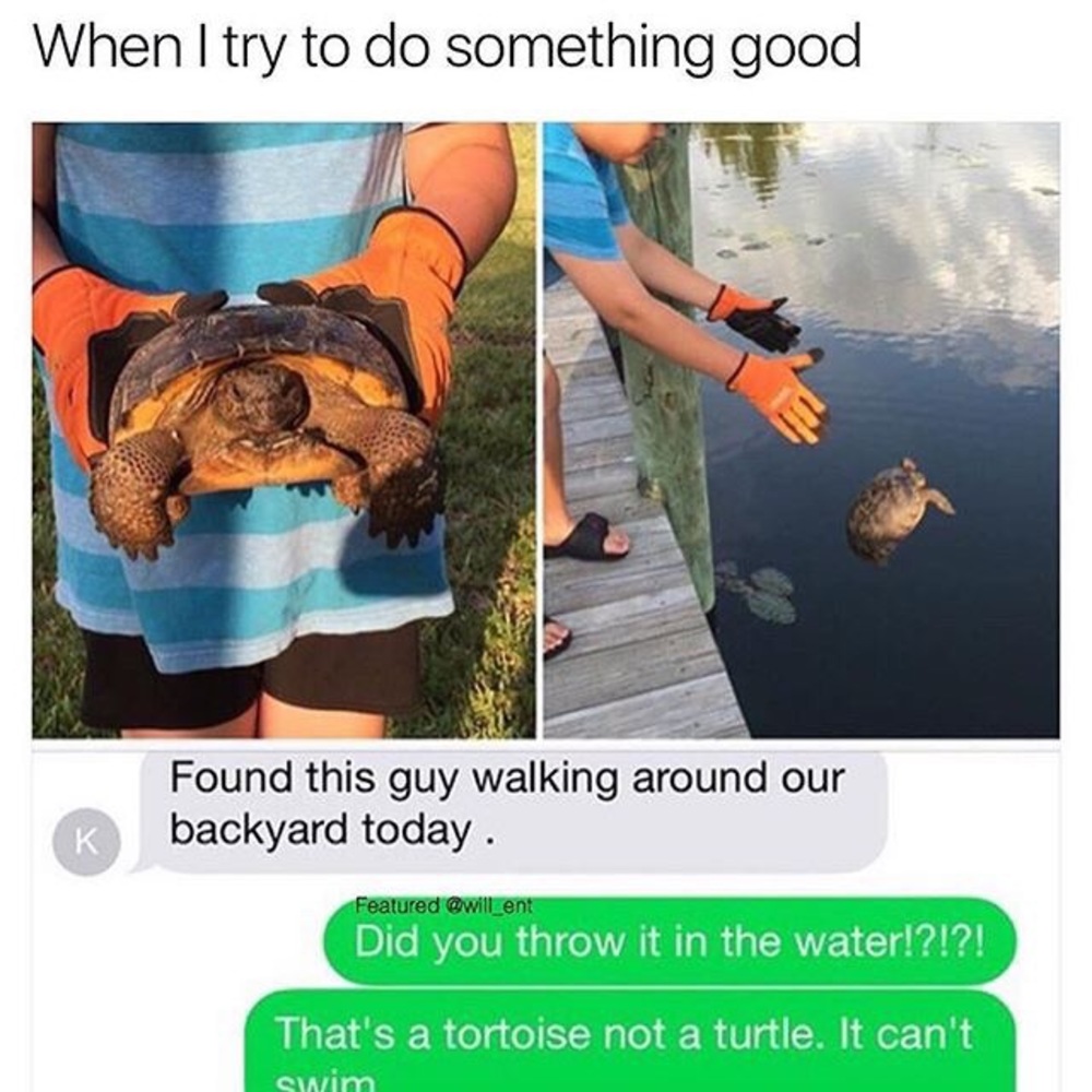 Meet your Posher, Mario