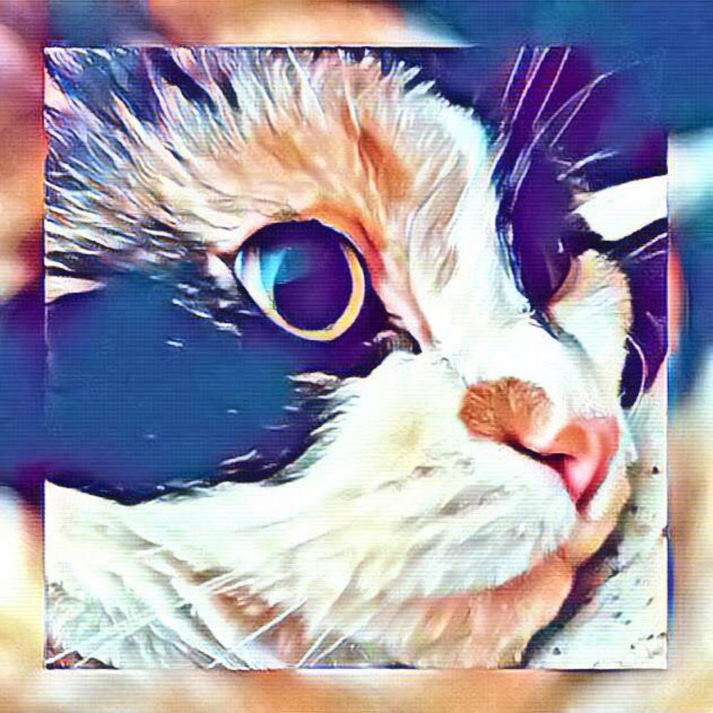 Meet your Posher, Dena