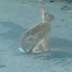 Meet your Posher, Helen