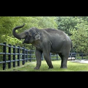 Meet your Posher, Daisy