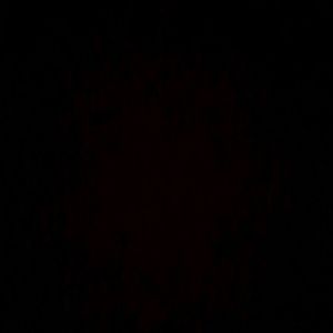 Meet your Posher, Kaylee