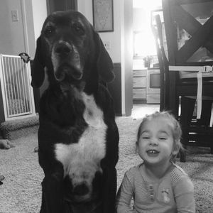 Meet your Posher, Morgan