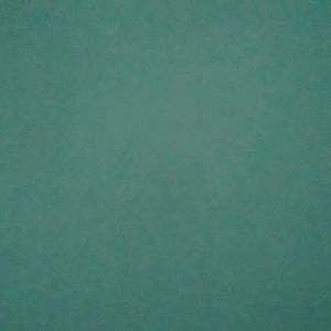 Meet your Posher, Kelley