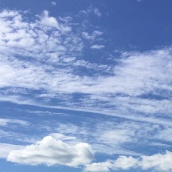 Meet your Posher, Jenna - Picture 1 of 1