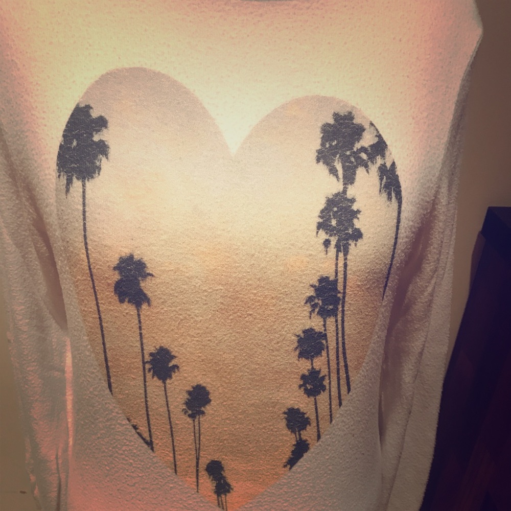 Awesome Wildfox sweatshirt.