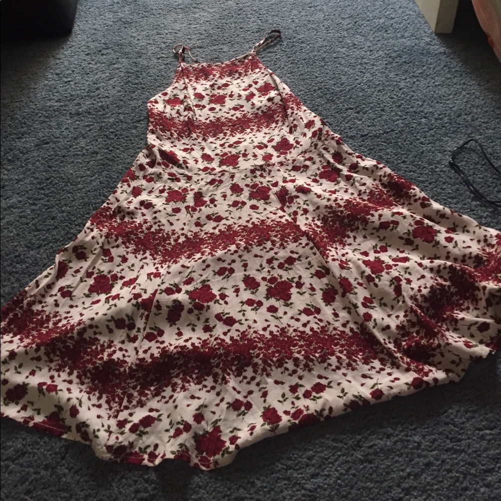 Brandy Melville Roses Dress