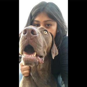 Meet your Posher, Andrea